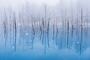 「心を奪われる」とは正しくこのこと　北海道・美瑛町の「青い池」が美しすぎて目を離せない