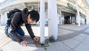 自分のまちで目に映る世界を優しく変える、鈴木純さんの「植物観察会」