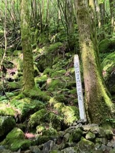 画像：四万十川の始まり（高知県須崎市）