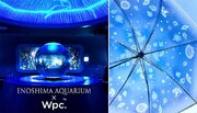 【おはよう、大水槽アンブレラ 発売】新江ノ島水族館Wpc.初コラボ！