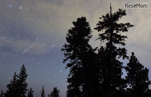 画像：The Annual Perseid Meteor Shower(Photo by Ethan Miller/Getty Images)　画像はイメージ