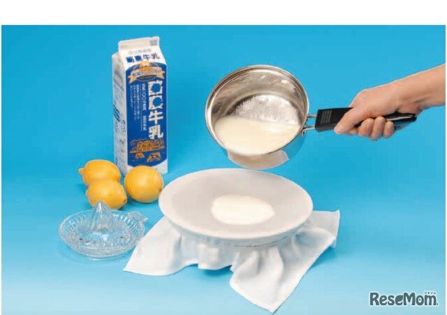 画像：【化学】乳製品に含まれるタンパク質の性質を調べる～牛乳からチーズを作ろう～（中学生向け）