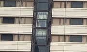 「飛べないんだw」「巣はここにあるのか」　福岡で「エレベーターに乗るつば九郎」が目撃される