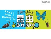 【夏休み2018】小田急百貨店新宿店「昆虫ふれあい展」8/14-20