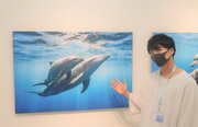 イルカたちと一緒に泳いでいる気分！　SNSで人気の写真家が「海での一期一会」をおすそ分け...暑さ忘れる「水中写真展」開催中