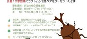 奈良・野迫川村に宿泊すると「カブトムシ2匹プレゼント」　斬新すぎる企画の理由は...「村役場で100匹繁殖」
