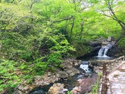宮城の山奥で見つけた「温泉の滝」　野趣あふれる天然混浴で、最高の開放感を味わう【吹上温泉・峯雲閣】