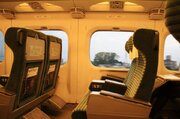 「隣席の乗客が『パチ、パチ』と音をたて...。新幹線で目撃したドン引き行為」（愛知県・50代男性）