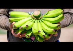 バナナ の 皮 歯磨き