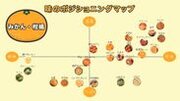産地直送・お取り寄せ通販サイト「トドクヨ」が柑橘品種の糖度を徹底調査しポジショニングマップと表を公開！10月から5月頃にかけて様々な品種を販売開始