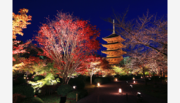 【2022年秋キャンペーン開催】色彩豊かに紅葉する京の秋の魅力を体感「そうだ 京都、行こう。」