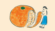 ”口福”な果実のプロダクト｜柑橘