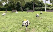 東京に「パンダの遊具」だらけの公園があった　後ろには、リアルなゴリラがひっそりと...