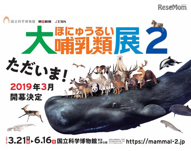 画像：特別展「大哺乳類展2」2019年3月21日から6月16日まで開催