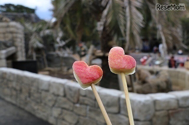 画像：伊豆シャボテン動物公園　バレンタインのカピバラのごはん