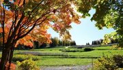 【まもなく紅葉見頃】北海道の短い秋は今が本番！（滝野すずらん丘陵公園）