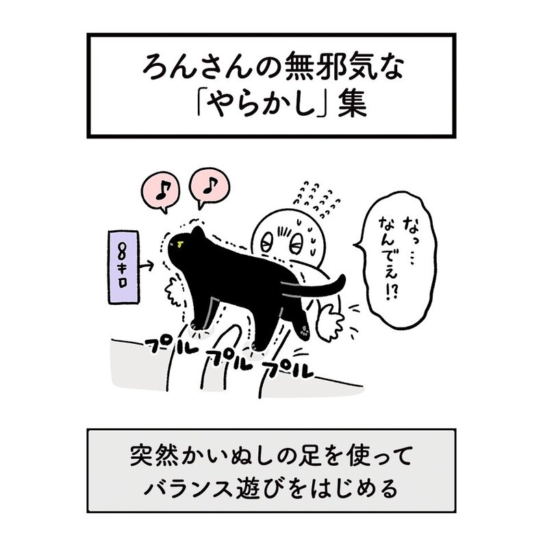 写真ニュース 1 2 かわいいから許すけど 飼い主を愛のままにわがままに傷つけてしまうニャンコの行動がこちら Biglobeニュース