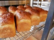 鎌倉に行ったら絶対買い！ 行列の食パン店『Bread Code』の20斤限定「星の井食パン」が美味しすぎる理由