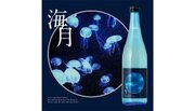 【新登場】まるで水族館のようなラベルの日本酒「海月」