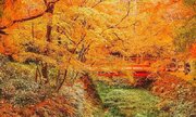 見渡す限りのオレンジ色！　京都・三千院の秋が鮮やかすぎて心奪われる