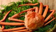【ディナーバイキング開催】国産の“蟹”が食べ放題！日本酒もお好きなだけ「冬の味覚」