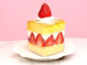 台湾カステラの「ショートケーキ」が至福！ ラゾーナ川崎の『千成屋珈琲』でコラボメニューを販売中
