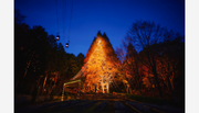 【スタート】神戸のクリスマスの新スポット。森の中、夜空にそびえる高さ25mの「森のクリスマスツリー」