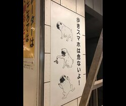 犬もザリガニも全く関係ない 福岡の歩きスマホ啓発ポスターが謎でしかない 19年12月16日 Biglobeニュース