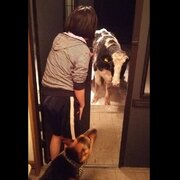 お客さんかな？ドアを開けたら...　まさかの訪問者にびっくり「これが道東の日常です」