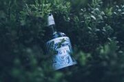 フィンランドの大自然をボトルに詰め込んだプレミアムジン「Arctic Blue Gin -アークティック ブルー ジン-」取り扱い開始！
